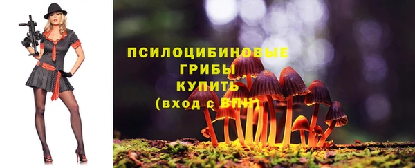 дживик Балахна