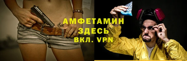 дурь Няндома