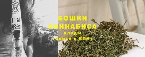 твердый Богородицк