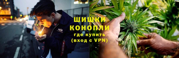 твердый Богородицк